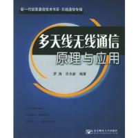 多天线无线通信原理与应用（无线通信专辑）/新一代信息通信技术书系