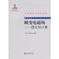 瞬变电磁场——理论和计算