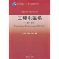 工程电磁场（第2版）（高等院校电气工程系列教材）