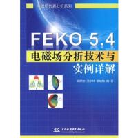 FEKO 5.4 电磁场分析技术与实例详解 (电磁场仿真分析系列)