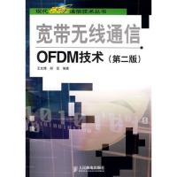 宽带无线通信OFDM技术(第二版）
