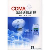 CDMA无线通信原理