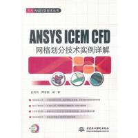 ANSYS ICEM CFD 网格划分技术实例详解 (附DVD光盘1张)
