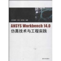 ANSYS Workbench14.0仿真技术与工程实践