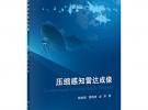 压缩感知雷达成像