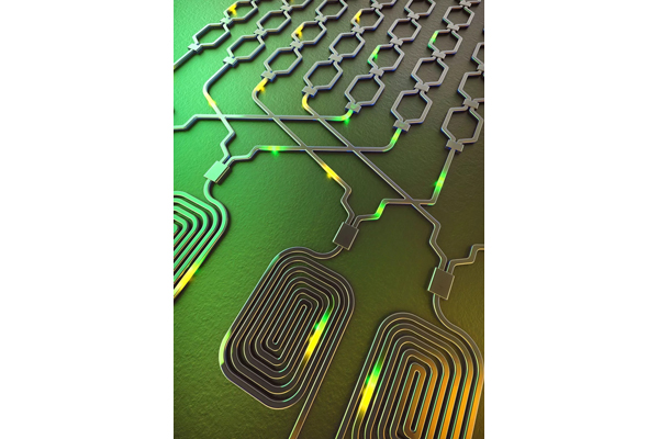 中外科研人员合作开发出一款光量子硅基芯片
